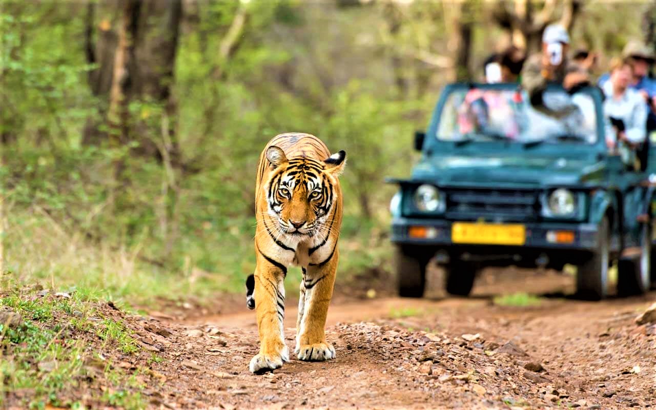Boutique Accommodation in Kumbhalgarh